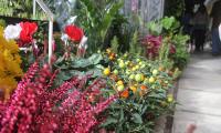 plants1.jpg